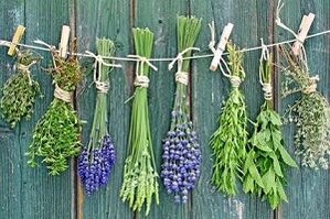 kruiden om teennagelschimmel te behandelen